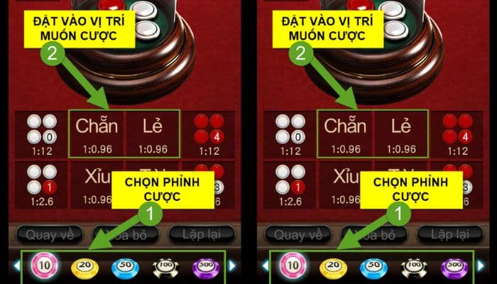 Bắt đầu tiến hành cá cược bằng cách “Chọn phỉnh cược”